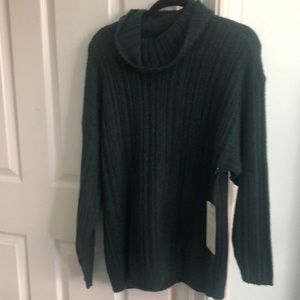 Fall 2020 cabi TryT pullover.